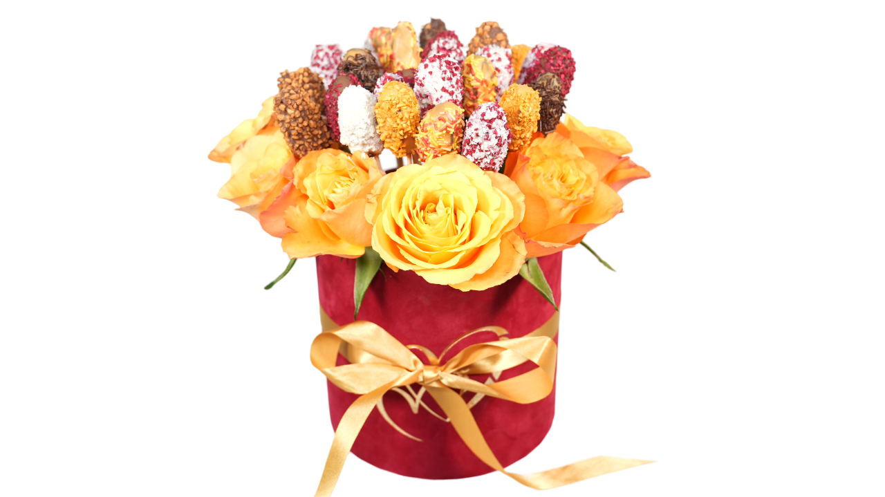 sunrise3015-Photoroom.png-Photoroom Sunrise